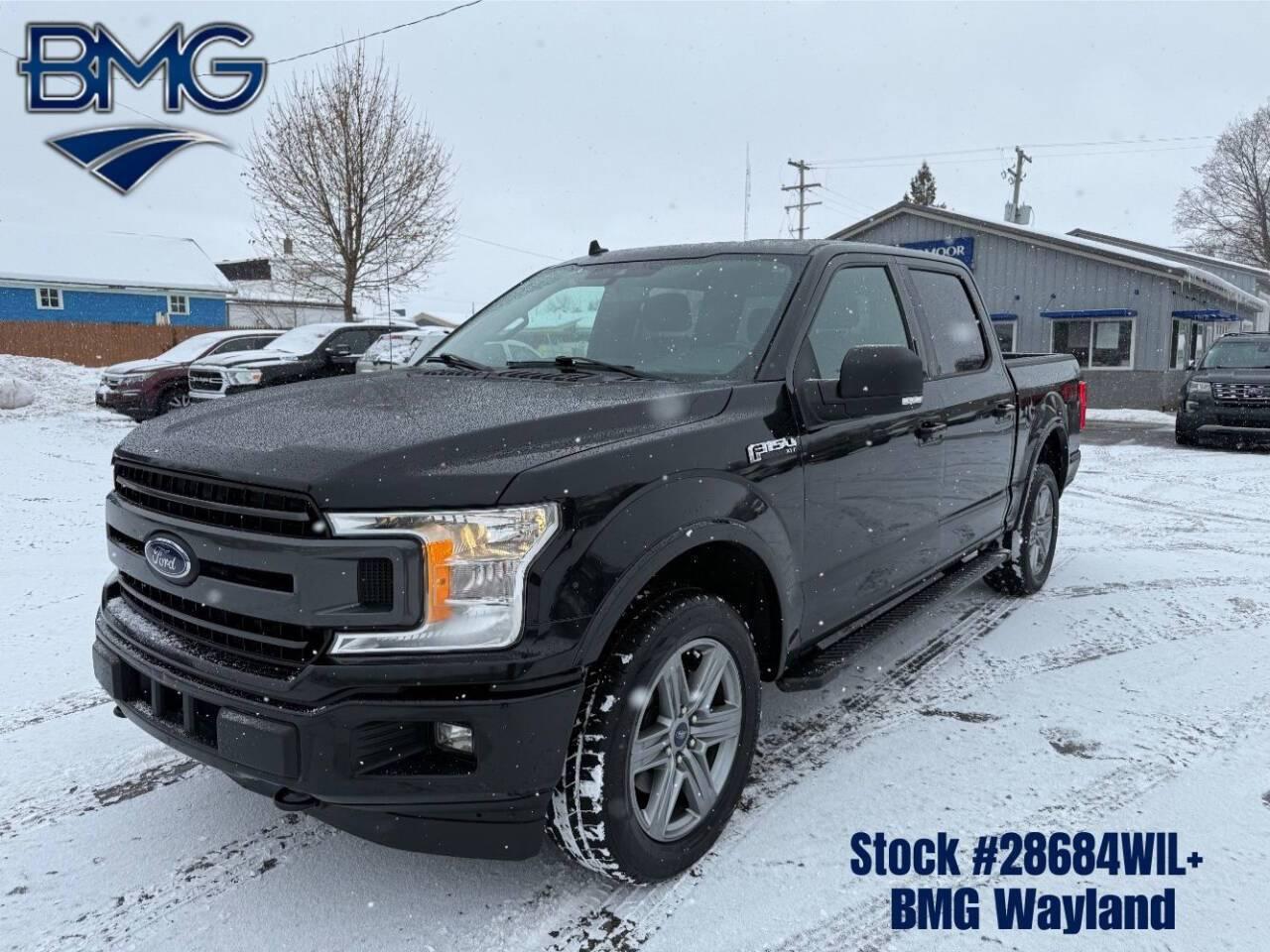 2019 Ford F-150 XLT in Wayland MI For Sale - Image 1
