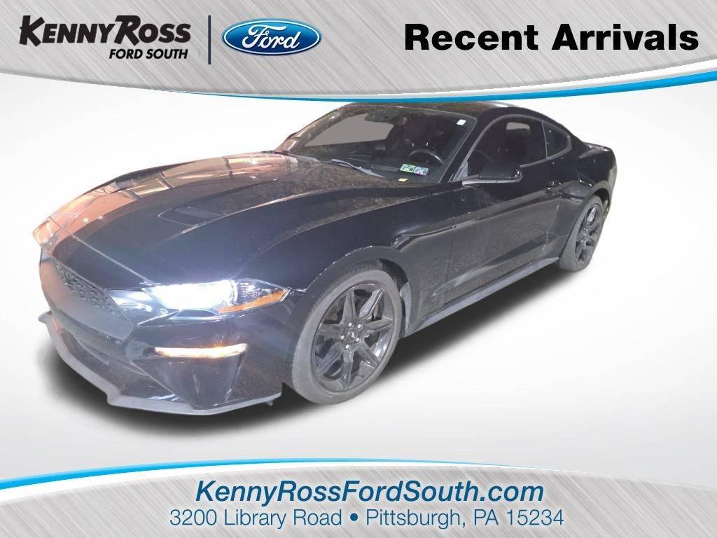 2019 Ford Mustang EcoBoost in Castle Shannon PA For Sale - Image 1