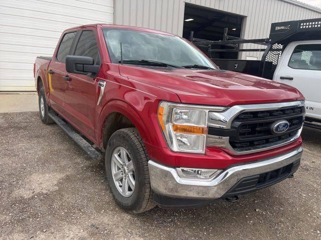 2021 Ford F-150 XLT in Plainfield IN For Sale - Image 1