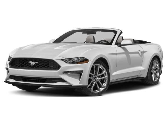 2022 Ford Mustang EcoBoost Premium in Tampa FL For Sale - Image 1