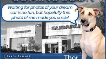 2022 Honda Pilot Special Edition in Lees Summit MO For Sale - Image 1