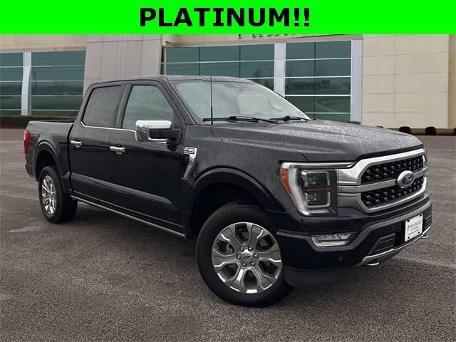 2023 Ford F-150 Platinum in Cornelius NC For Sale - Image 1