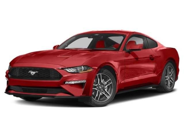 2023 Ford Mustang EcoBoost in Tampa FL For Sale - Image 1