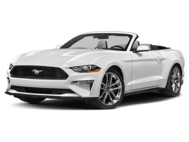 2023 Ford Mustang EcoBoost in Chattanooga TN For Sale - Image 1