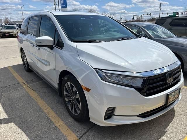 2023 Honda Odyssey EX-L in Ottawa IL For Sale - Image 1