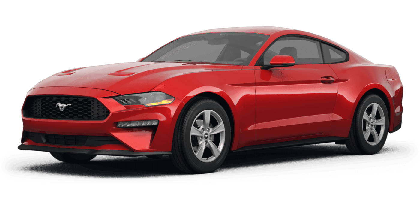 2024 Ford Mustang EcoBoost in Clearwater FL For Sale - Image 1