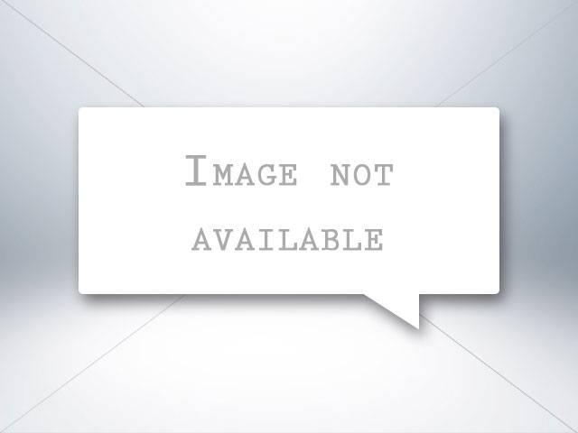 2024 Ford Mustang EcoBoost in Auburn AL For Sale - Image 1