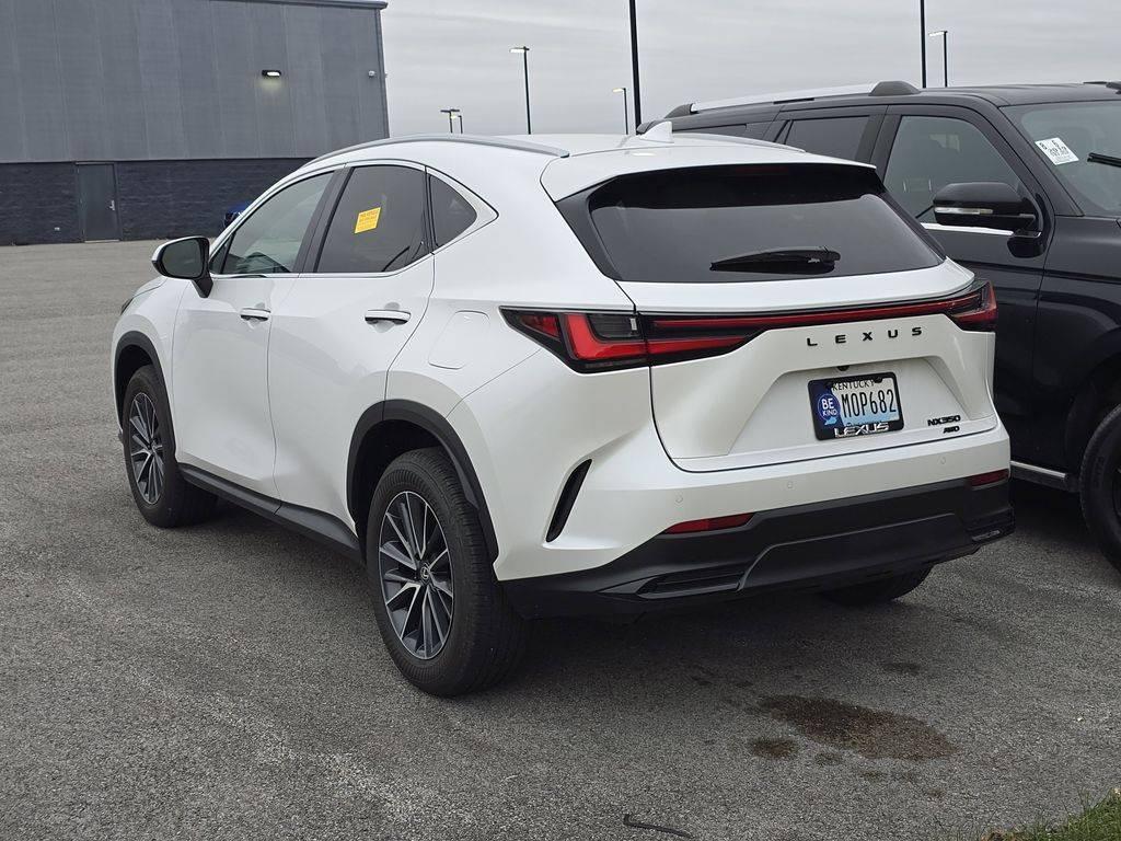 2025 Lexus NX NX 350 in Hopkinsville KY For Sale - Image 1